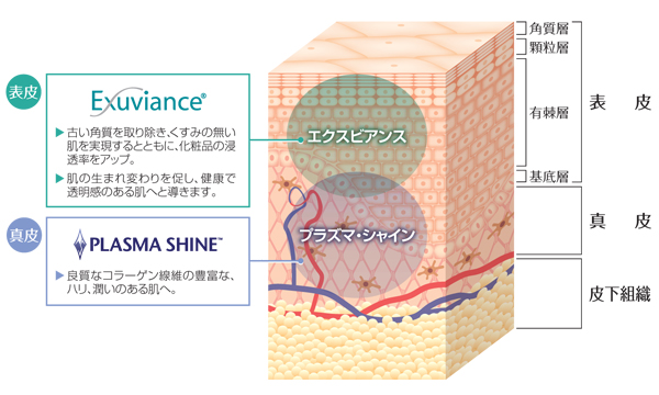 クリアXL(プラズマシャイン)